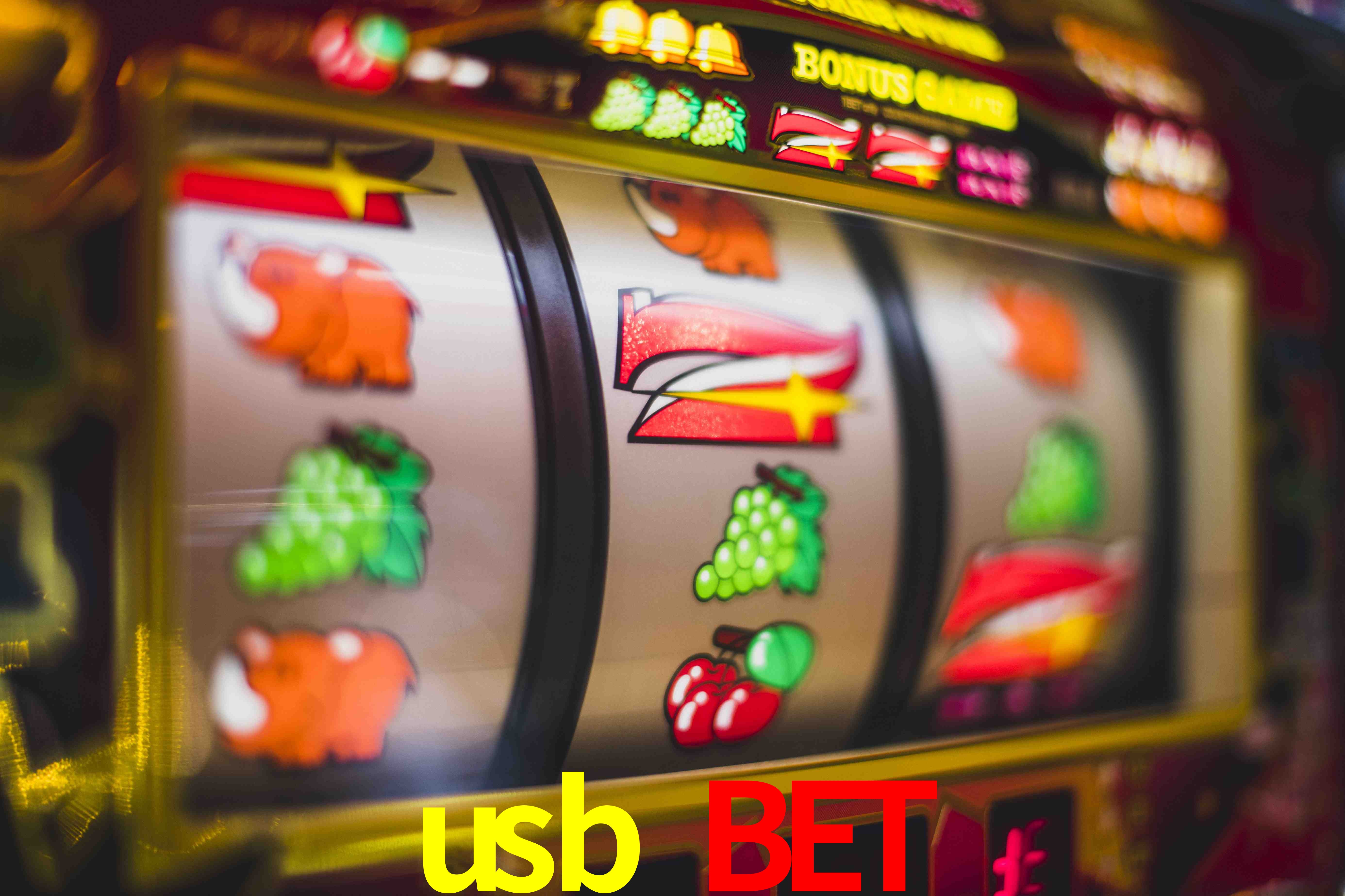 Sports Statistics usb bet